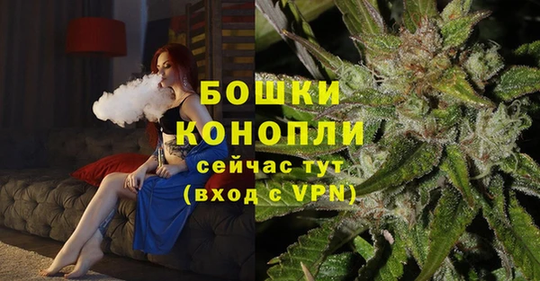 хмурый Медногорск