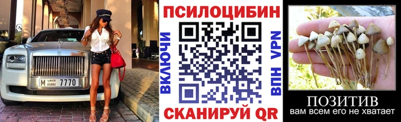 цена наркотик  Старый Оскол  Псилоцибиновые грибы Cubensis 