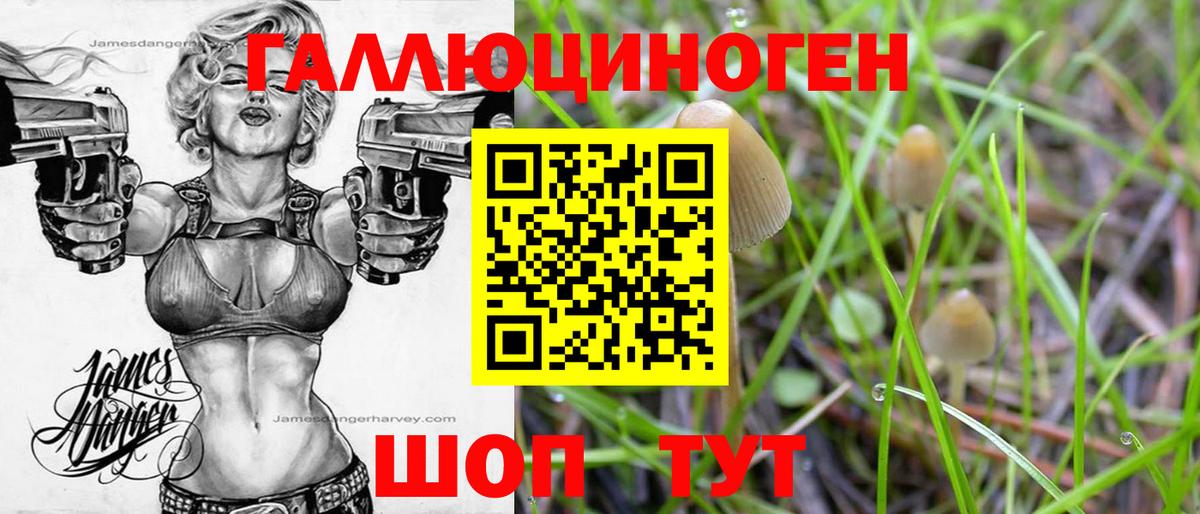 Псилоцибиновые грибы прущие грибы Старый Оскол