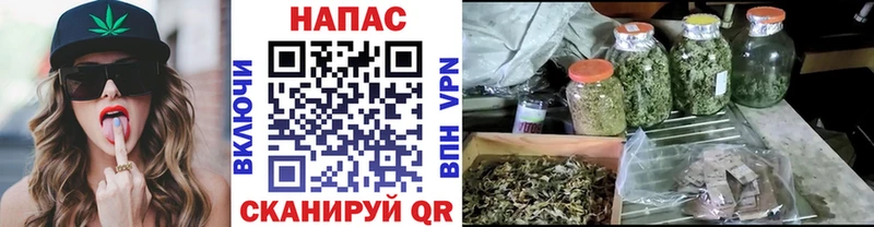 гидра ссылки  где купить наркоту  Старый Оскол  Каннабис Bruce Banner 